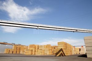 Noua politică de aprovizionare cu masă lemnoasă a Holzindustrie Schweighofer, mult mai strictă