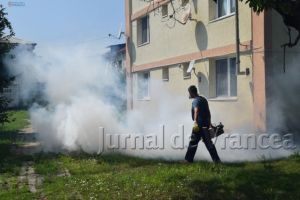 Primăria Oraşului Panciu a început campania de deratizare şi dezinsecţie