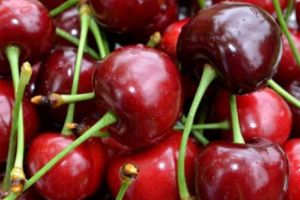 SEMNAL DE ALARMĂ al ANSVSA! Peste 1,3 tone de cirese provenite din Turcia sunt contaminate cu pesticide