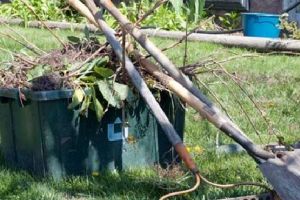 Curăţenia generală de primăvară continuă la Târgu-Mureş. Programarea străzilor între 14-19 mai