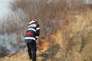 Incendiu de vegetaţie uscată pe Valea Viştişoarei