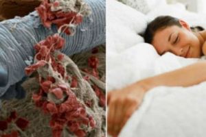 NU E GLUMĂ! Evită acest OBICEI PERICULOS în timpul somnului. Un INAMIC INVIZIBIL îţi poate INVADA patul ÎN FIECARE NOAPTE