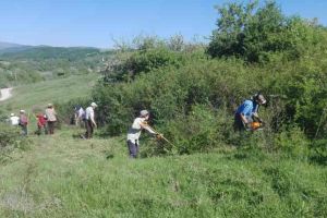 Rangeri din Anglia au venit special să-i ajute pe locuitorii dintr-un sat din judeţul Alba să-şi cureţe grădinile şi păşunile