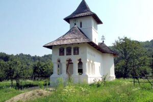 Comuna Albeştii de Argeş – „Fără dezvoltare, viitorul poate fi sumbru”