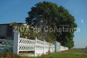 Falimentul societatii Nazarcea Ovidiu SA, din nou in atentia judecatorilor 