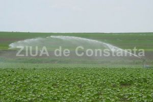Primaria Constanta, interesata de achizitia de lucrari de reparatii si intretinere a sistemului de irigat existent in oras