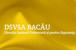 Păsări moarte subit, în cartierul CFR