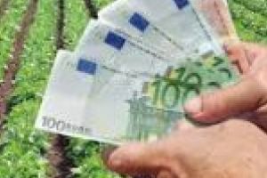APIA: 15 mai, data până la care se mai pot depune cererile unice de plată din campania 2018