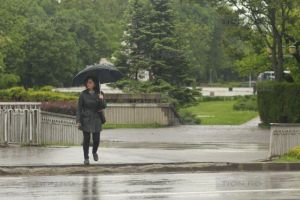 Cod Galben de ploi in mai multe localitati din Timis