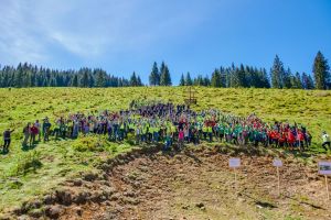 Proiectul „Pădurea de Mâine” continuă cu plantarea a peste 6.300 de puieţi  în Parcul Naţional Călimani, Suceava