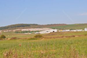 Protest împotriva construirii gropilor de gunoi pe 10 ha de pădure