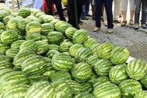 Primăria Aiud: Licitaţie pentru închirierea locurilor de vânzare destinate comercializării pepenilor în Piaţa Agroalimentară ”Dr. Constantin Hagea”, în 30 mai