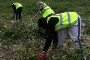 Pedepsele cu munca în folosul comunităţii nu se pun în aplicare. Se schimbă legea 