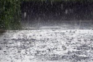 Cod galben de ploi torenţiale şi grindină în judeţul Satu Mare