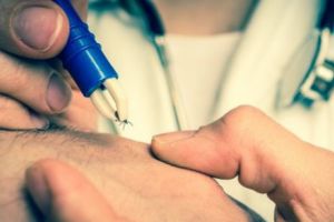 Atacul căpuşelor la Timişoara. Un bichon a adunat 42 la o singură plimbare. Minim cinci persoane, zilnic, ajung la spital