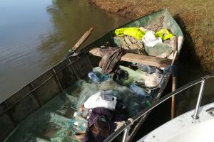 9 dosare penale pentru braconaj în Parcul Natural Balta Mică a Brăilei