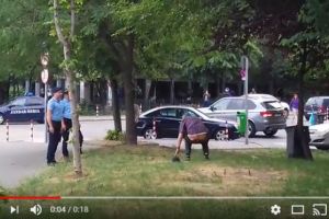 Doamne fereste! Barbat in fundul gol, pe Bulevardul Castanilor! Oamenii legii au avut un soc cand s-a ridicat de pe iarba