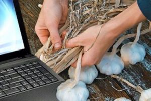 Leacuri vechi de MILENII care VINDECĂ aproape TOATE afecţiunile