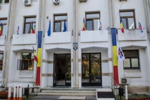 De la cine cumpara Primaria Constanta aplicatii informatice