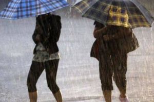 Cod galben de ploi torenţiale, în judeţ