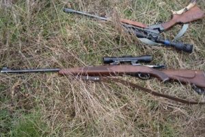 Un muncitor silvic şi un pădurar, implicaţi în infracţiuni de braconaj cinegetic