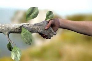 Omraam Mikhael Aivanhov: Cartea magiei divine (VII): Natura