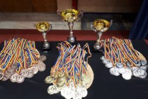 Prestaţie frumoasă a sportivilor covăsneni la Campionatele Naţionale de Ju-Jitsu