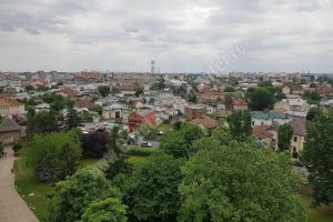 TÂRGOVIŞTE: Acţiuni de combatere a insectelor, între 18- 24 mai. Ce măsuri de siguranţă trebuie să ia târgoviştenii