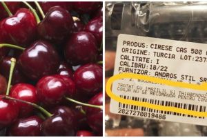 Alarmant! CIREȘELE DE AUR PLINE DE… OTRAVĂ!…