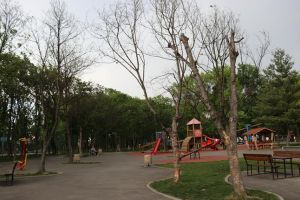 Copaci uscati la locul de joaca din Parcul Padurice, primarul Robu vrea covoare de iarba