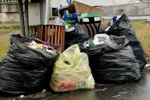 Primaria Timisoara a fost amendata cu 10.000 de lei de Garda de Mediu pentru gunoaie