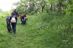 Acţiune de igienizare a suprafetelor forestiere din zona Zamca