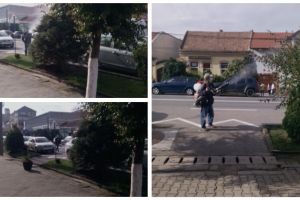 FOTO ȘTIREA TA: La Blaj, deratizarea se face în timp ce oamenii trec pe stradă. Părinţii copiilor, revoltaţi şi speriaţi pentru sănătatea copiilor lor