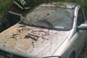 FOTO. Copac căzut în curtea Spitalului Judeţean. O maşină a fost avariată