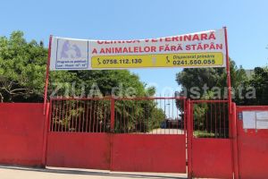 Dupa ce a prelungit contractul cu Green Life Recycling, Primaria Constanta a atribuit contractul pentru reparatii la adapostul de caini fara stapan al municipalitatii (document)