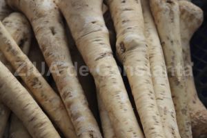 Hreanul contine de 2 ori mai multa vitamina C decat lamaia