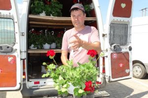 Florărie la bordură