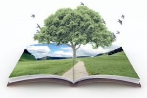 Omraam Mikhael Aivanhov: Cartea magiei divine (VIII): Cum trebuie să citiţi în cartea naturii vii