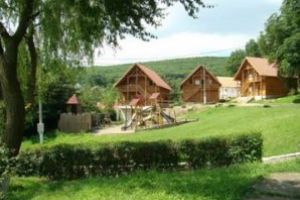 Două proiecte ample, cu şi pentru tineri, ale Direcţiei Judeţene de Sport şi Tineret, finanţate de MTS