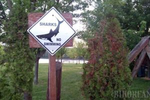 Rechini de Şişterea: Administratorii unui lac din Bihor au găsit o metodă inedită ca să-i îndepărteze pe înotători