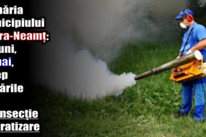 Primăria Piatra-Neamţ: De luni, 21 mai, încep lucrările de dezinsecţie – deratizare