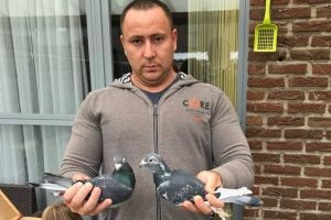 Campionatul porumbeilor voiajori: Samuel Bochiş, câştigătorul etapei de viteză de la Budapesta