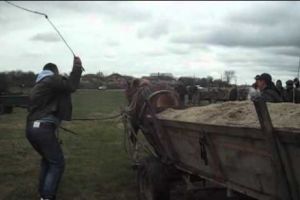 SCENE desprinse din EVUL MEDIU. Doi căruţaşi îşi bat caii fără MILĂ, ziua în amiaza mare. VIDEO ȘOCANT