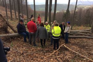 FOTO. Lucrările de la Luna Șes se reiau. Un nou ordin de începere a lucrărilor