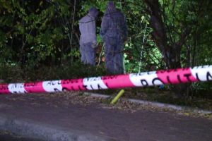 NEWS ALERT/ PREOT arădean găsit MORT, ÎMPUŞCAT în FAŢĂ