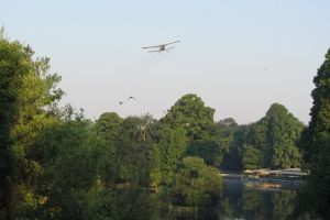 A doua etapă de dezinsecţie pe domeniul public, în perioada 19-20 mai