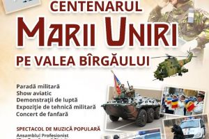 Show aviatic, paradă militară, demonstraţii de luptă, expoziţie de tehnică şi spectacol la Prundu Bârgăului