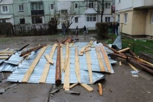 Cod galben de vânt. Un copac a căzut peste un autobuz