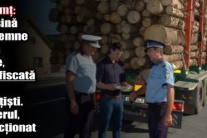 Neamţ: Maşină cu lemne fără acte, confiscată de poliţişti. Șoferul, sancţionat contravenţional