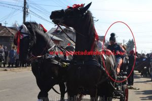 TÂRGOVIŞTE: Filtru în cartierul Matei Voievod – Operaţiunea “Ziua Z”  l-a pierdut pe Ghenosu! VIDEO